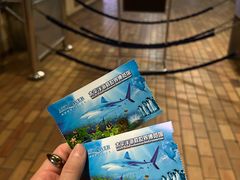 -太平洋海底世界