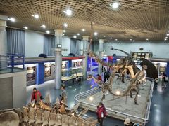 -国家自然博物馆