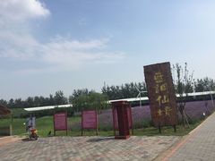 -北京东方普罗旺斯薰衣草庄园
