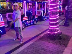 -三亚海昌梦幻海洋不夜城