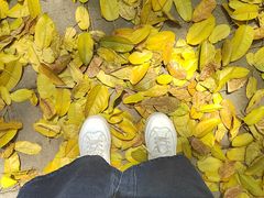 -成都市活水公园