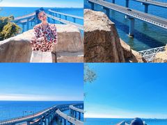 -星海湾跨海大桥