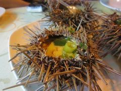 海胆蒸蛋-海岛渔村大酒店(云霄路店)