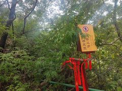 -老象峰