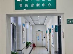 -派美特宠物医院·核磁CT·骨科肿瘤·疑难转诊(沈农禾丰店)