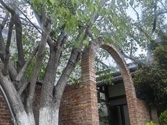 -金稼园·金平湖农家菜