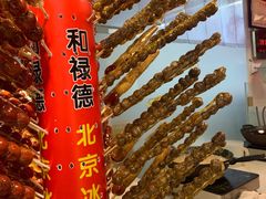 -和禄德冰糖葫芦