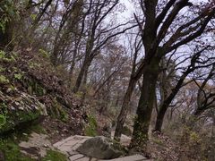 -终南山南五台景区