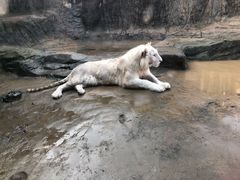 -杭州野生动物世界