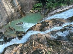 -广州白江湖森林公园