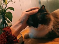 -灯塔咖啡馆BOOK·Coffee Shop