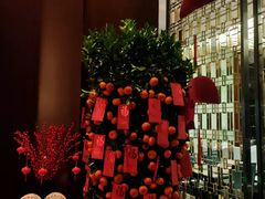 -唐阁海景中餐厅·早茶·粤菜•生日聚餐(海口朗廷酒店)