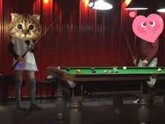 -顽主轰趴馆团建ktv桌游狼人杀(望京店)