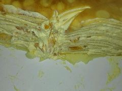 -皇家美孚(保定路店)