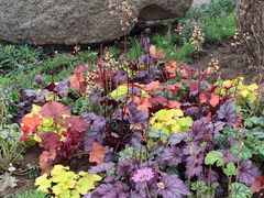 -罗红摄影艺术馆