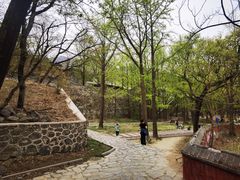 -阳台山自然风景区