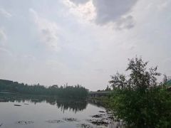 -白鹭湾湿地公园