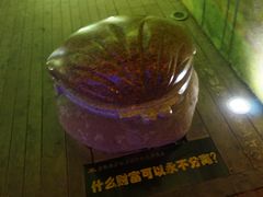 -铁路文化公园