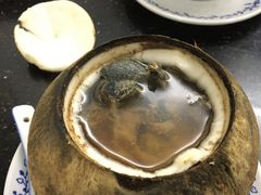 原只椰子炖竹丝鸡-達揚原味燉品(文明路店)