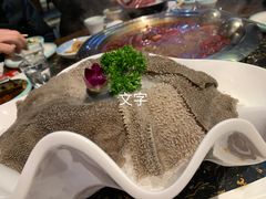-苏家大院庭院式老火锅(高灯北街店)