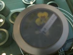 -山与蓝·轻糖鲜果蛋糕(勒泰店)