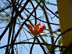 -厦门博饼民俗园