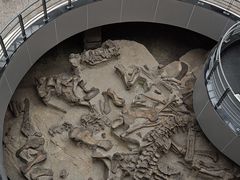 -自贡恐龙博物馆