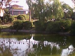 -汤山公园