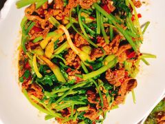 -壹盏灯(惠农店)