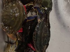 -前王院•巧克力海鲜市集餐厅(万平口店)