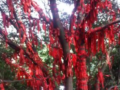 -金堂县云顶石城风景区