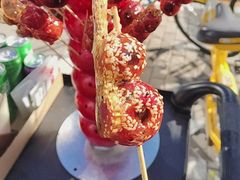-蘇锦宴·淮扬菜烤鸭·小院(三元桥霄云路店)