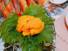 野生马粪活海胆-鲔屋寿喜烧