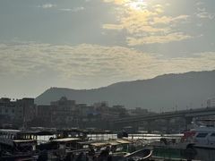 -广东惠东海龟国家级自然保护区