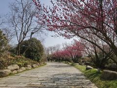 -茅山东方盐湖城景区