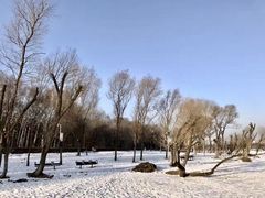 -长春市南湖公园