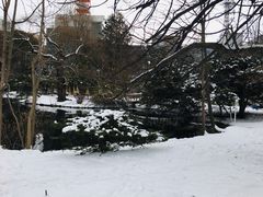 -北海道厅旧本厅舍(旧本庁舎)