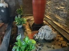 -大桶大足浴(陈春路店（3公里左右免费接送）)