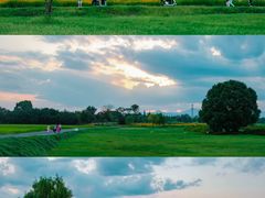 -良渚古城遗址公园