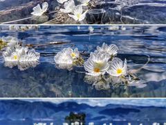 -丽江泸沽湖景区