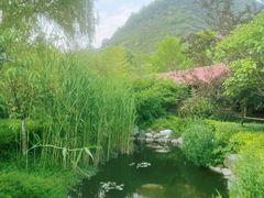 -麦积山温泉