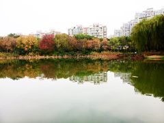-新江湾城公园