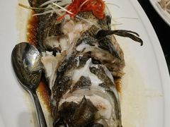 -金海湾海鲜总店