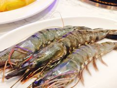 -半岛听涛蒸汽海鲜自助(K11店)