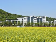 -湘湖金融镇