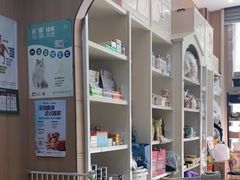 -米苏动物医院·犬猫专科·骨科外科内窥镜