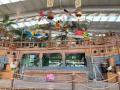 -南宫五洲植物乐园