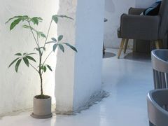 大堂-COTTON CAFE(德信·中外公寓店)