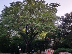 -玲珑塔公园