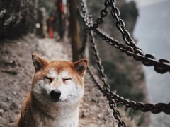 -剑门关风景区